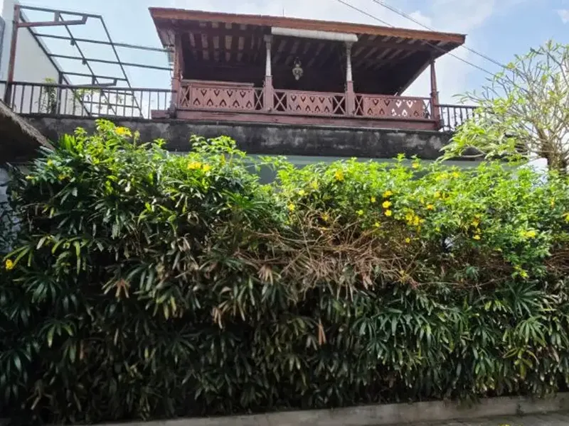 VILLA VIEW SAWAH 2 LANTAI DI RAYA SINGAPADU SUKAWATI GIANYAR, BALI - Real Estate in Bali
