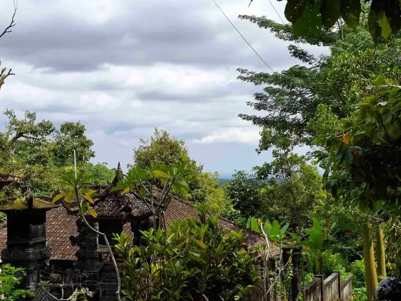 tanah kebun sangat murah view laut dan sawah dekat jatiluih di tabanan bali - Bali in Bali