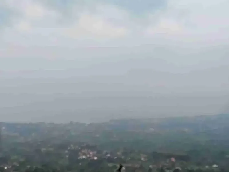 view laut ,tanah datar dekat dengan lovina - Real Estate in Bali