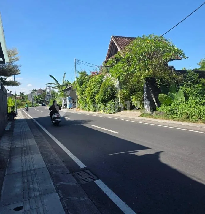 Tanah Jalan Utama Kayu Tulang Selatan Canggu #Tj0521 - Real Estate in Bali