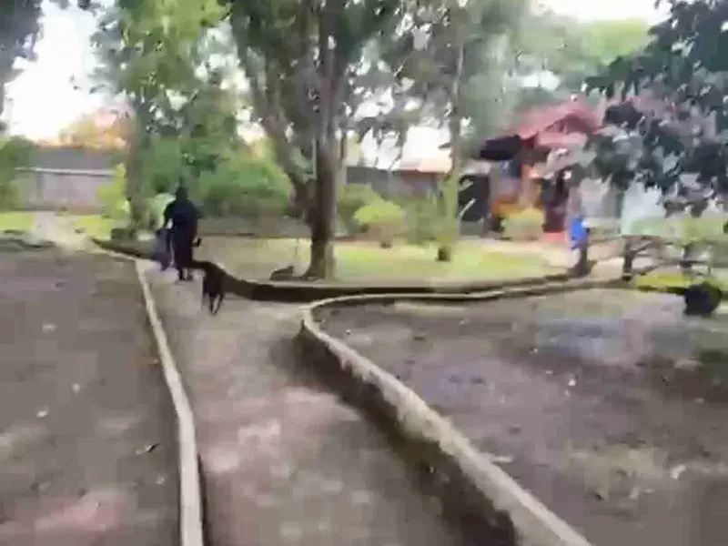 tanah batursari dekat pande putri Sanur bali - Real Estate in Bali