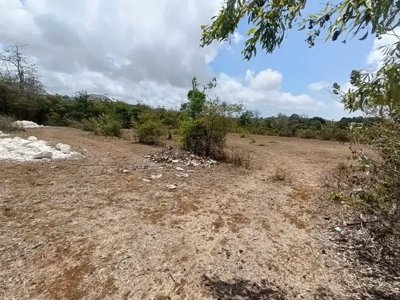 [PRIME LOCATION] 1,300 sqm (13 Are) Yellow Zone Land on Jl. Pura Masuka, Ungasan – Ideal for Villa Complex / Homestay - Real Estate in Bali