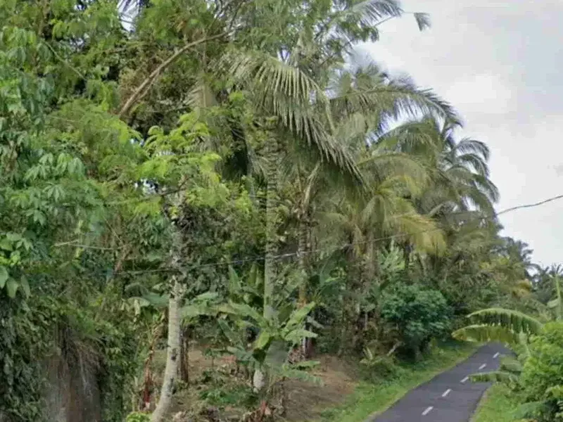 Kebun Kopi di Tabanan Bali hanya 20 menit ke Balian Beach - Real Estate in Bali