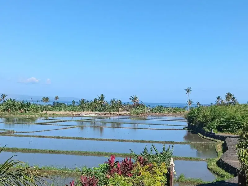 Ocean, Rice Fields & Mountain Views - Bali in Bali
