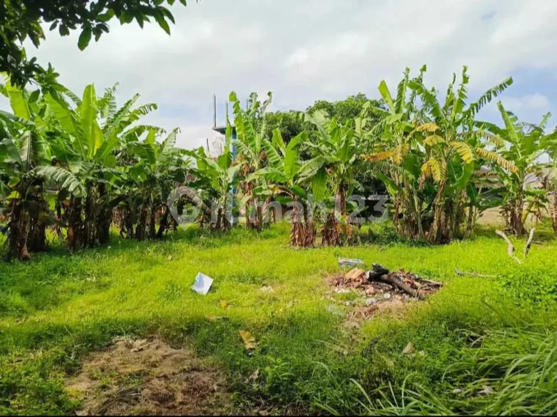Tanah Sangat Strategis dan Premium di Jl Bumbak Umalas Kerobokan - Bali in Bali