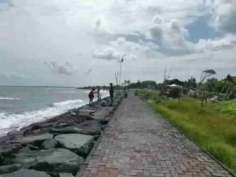 Tanah Murah Los Pantai Ketewel 1975m2 SHM - Real Estate in Bali