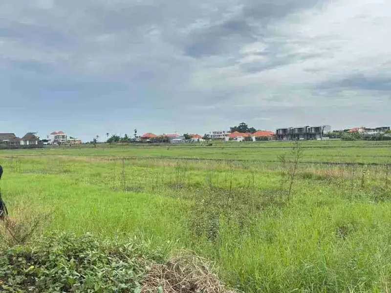 Tanah View Sawah dan Sunset Dekat Pantai Seseh Bali - Real Estate in Bali
