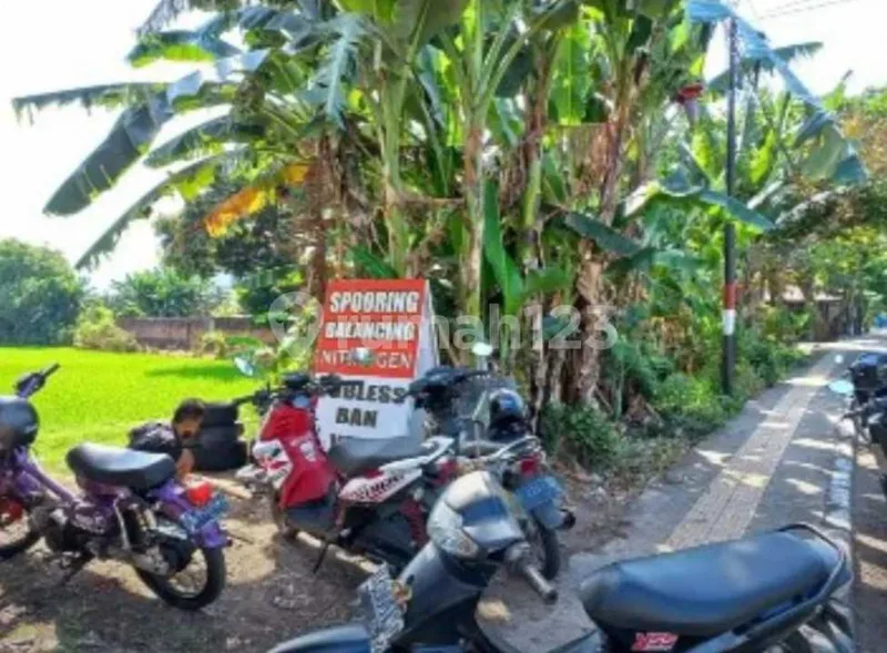 Raya Udayana Negara Bali - Real Estate in Bali