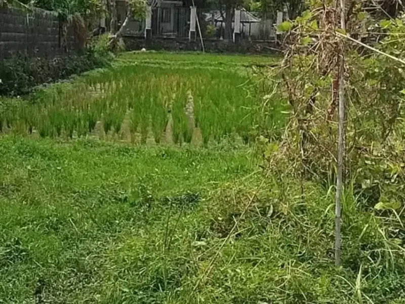 Dijual Tanah Kavling Premium di Umalas Kerobokan – Lokasi Strategis Dekat Canggu, Seminyak & Kerobokan - Real Estate in Bali