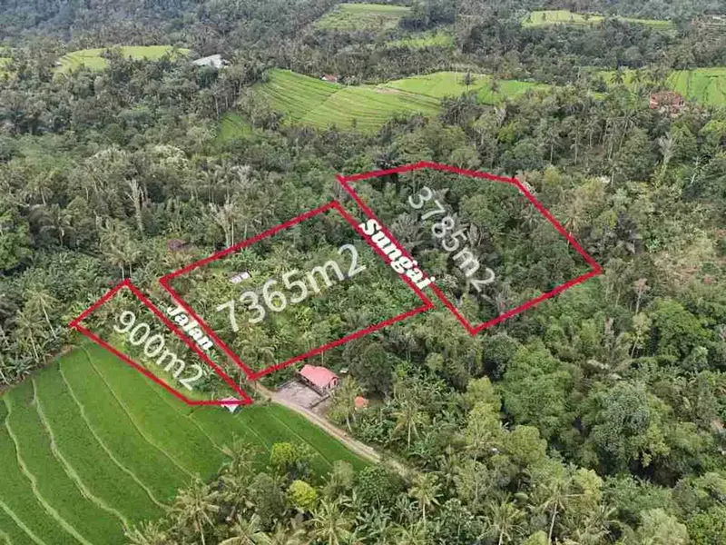 jual tanah kebun view sawah, gunung dan los sungai cantik di tabanan bali. - Real Estate in Bali