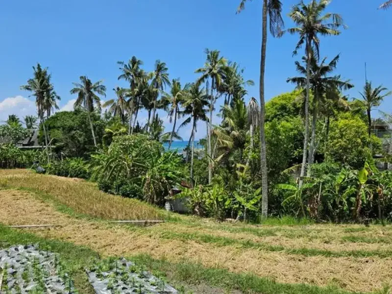 Tanah Kavling Dekat Pantai di Mengening Cemagi - Real Estate in Bali