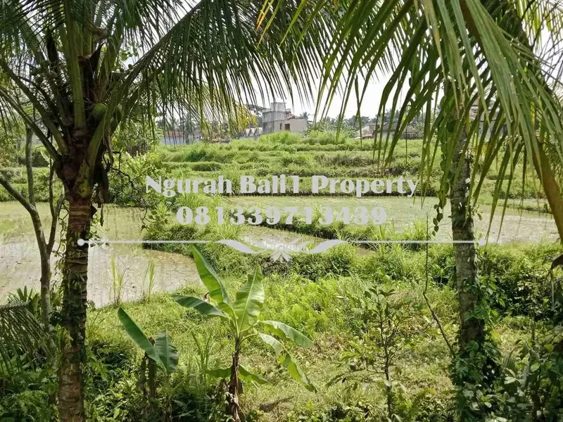 Dijual Tanah Murah Luas 645 m2 View Sawah dan Sungai di Ubud Pejeng - Real Estate in Bali