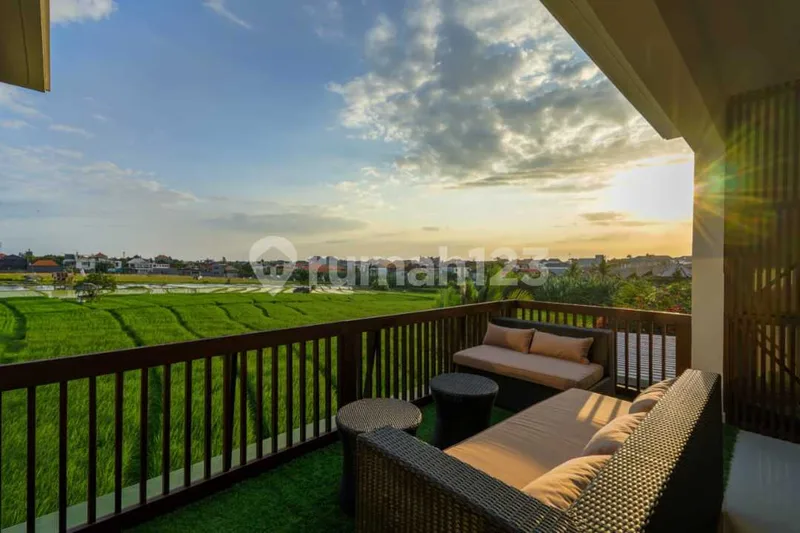 Villa Canggu 3 Bedrooms - Real Estate in Bali