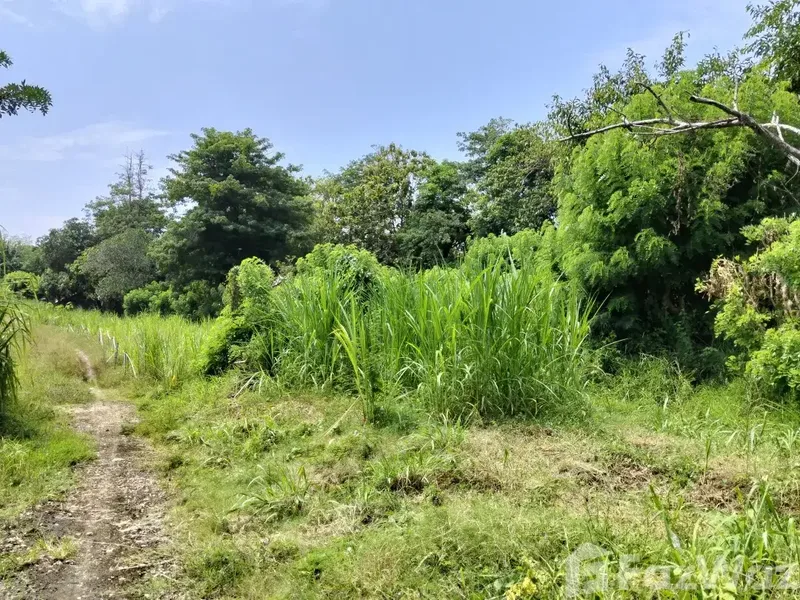 Land for sale in Uluwatu, Bali - Real Estate in Bali