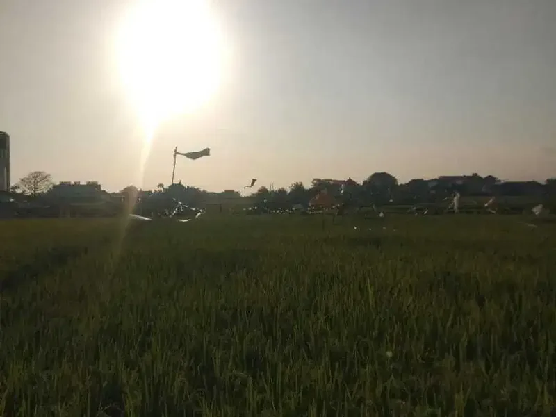 Land for sale in Seseh, Bali - Real Estate in Bali