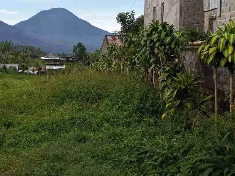 Tanah Strategis Kawasan Villa dan Glamping Buleleng - Real Estate in Bali