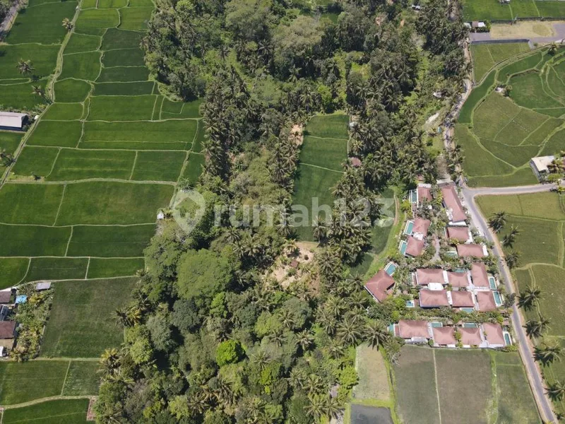 Dijual Tanah Tegallalang Ubud - Real Estate in Bali