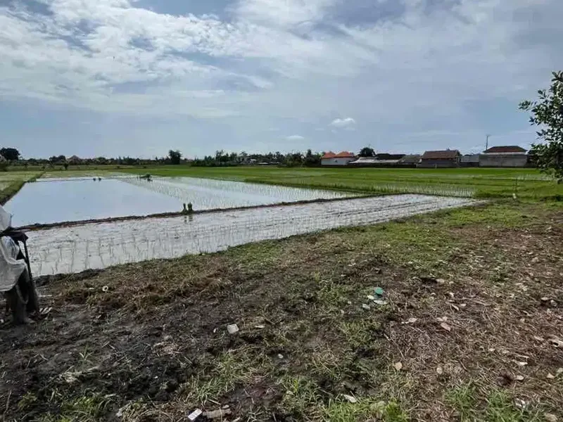 DIJUAL TANAH SAWAH 48.5 ARE DI KABA KABA CC - Bali in Bali
