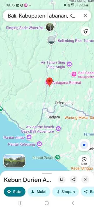 Dijual Tanah Kebun Durian di Tabanan, Bali - Bali in Bali