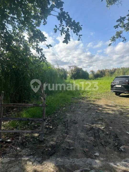 Di Jual Tanah Bagus Cocok untuk Investasi atau Bangun Villa - Real Estate in Bali
