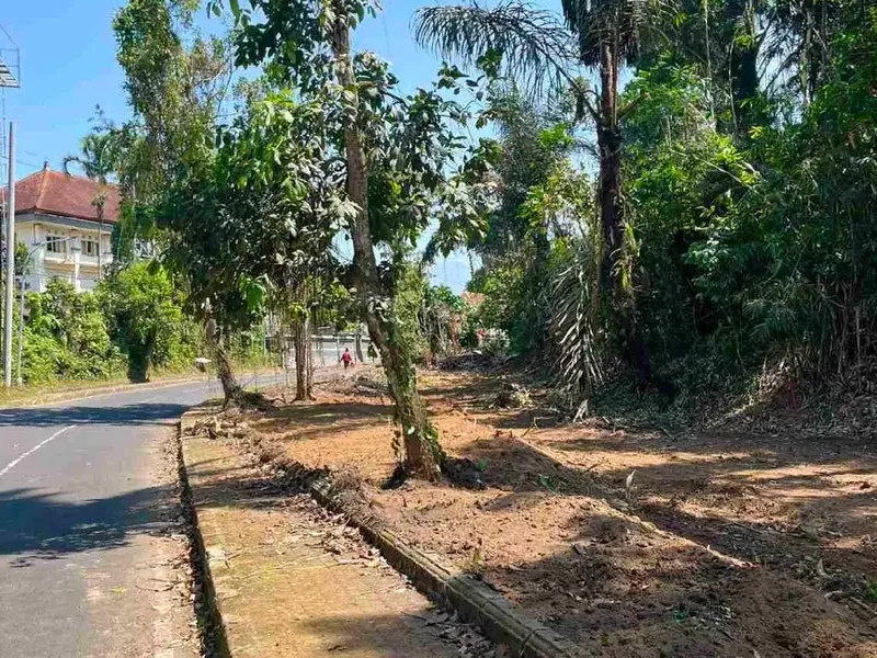 Di jual tanah kavling jalan raya Petang , Badung, Bali - Bali in Bali
