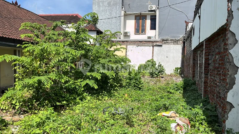 Turun Harga Tanah Kavling Langka 1,36 Are di Gang Jalak Berawa Canggu - Real Estate in Bali