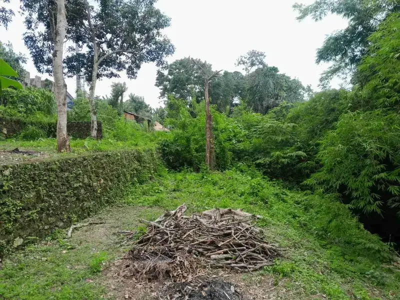Lahan Langka padang Luwih dalung 1.7 are global 930 Juta SHM bebas banjir strategis - Bali in Bali
