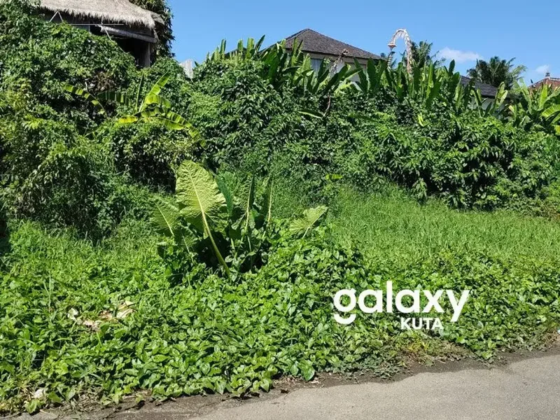 DISEWAKAN TANAH LOKASI STRATEGIS COCOK UNTUK VILLA DI TIBUBENENG CANGGU - Real Estate in Bali