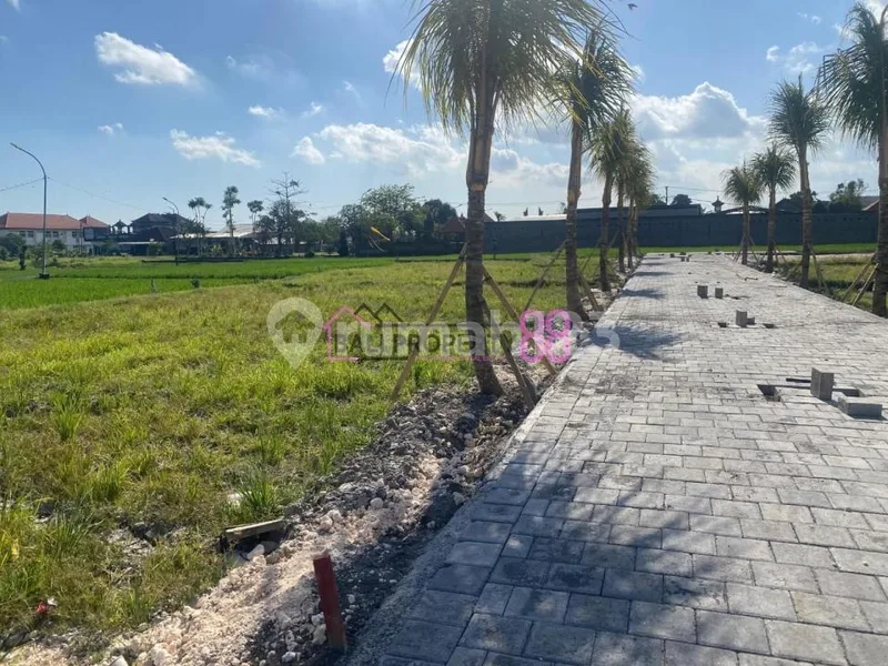 Tanah Kavling Premium dengan View Sawah Cantik di Buduk Badung - Real Estate in Bali