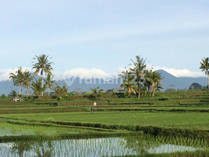 Dijual Tanah View Sawah Cocok Buat Resort ,villa, Gianyar - Real Estate in Bali