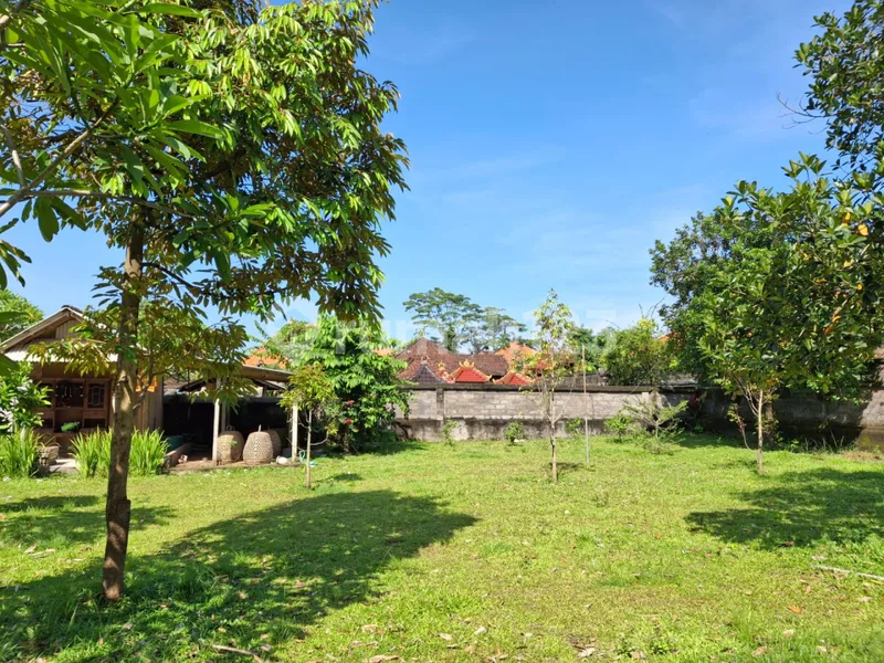 Dijual Tanah Murah Dekat Bali Zoo - Ubud Area | Area Pariwisata - Real Estate in Bali