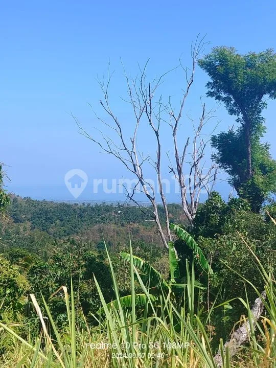 Ocean View! 1,8ha Ds Tunjung Kubutambahan Dekat Calon Bandara Baru - Bali in Bali