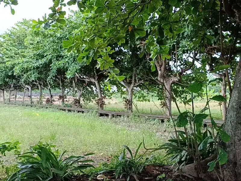 Di Jual Tanah area pantai sanur Bali - Real Estate in Bali