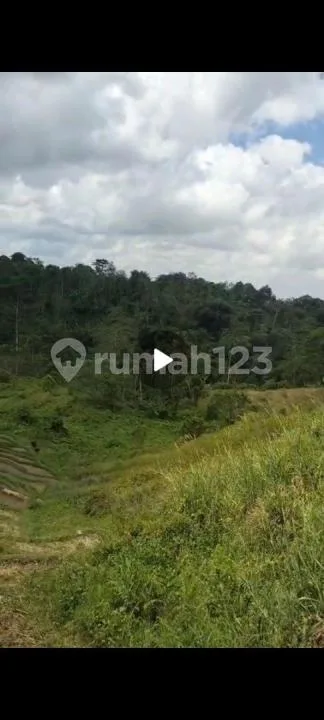 Tanah Tabanan Batokaro Wongaya - Bali in Bali