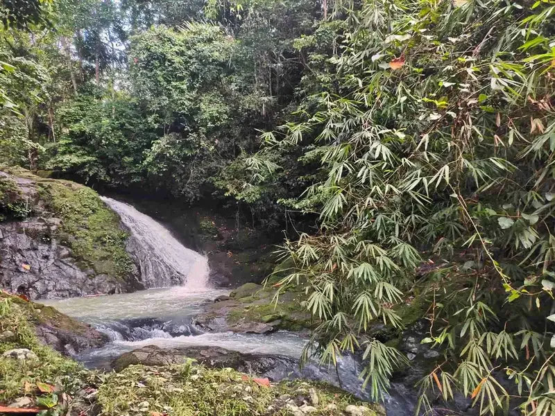 jual tanah kebun view air terjun kawasan villa di tabanan bali. - Bali in Bali