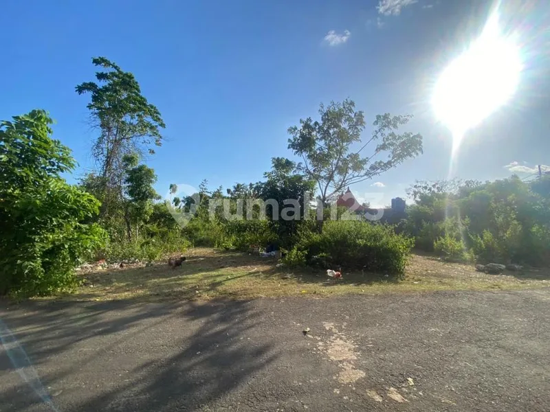 Tanah 3 Are di Jl Lalang Ambu, Jimbaran Dekat Gwk dan Pantai Balangan - Bali in Bali