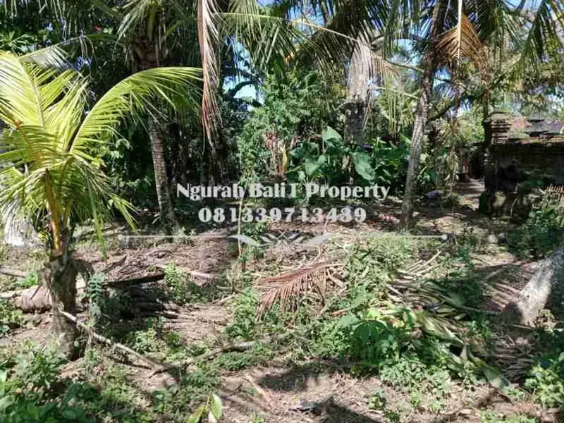 Disewakan Tanah Murah Luas 9 Are di Lodtunduh Ubud - Real Estate in Bali