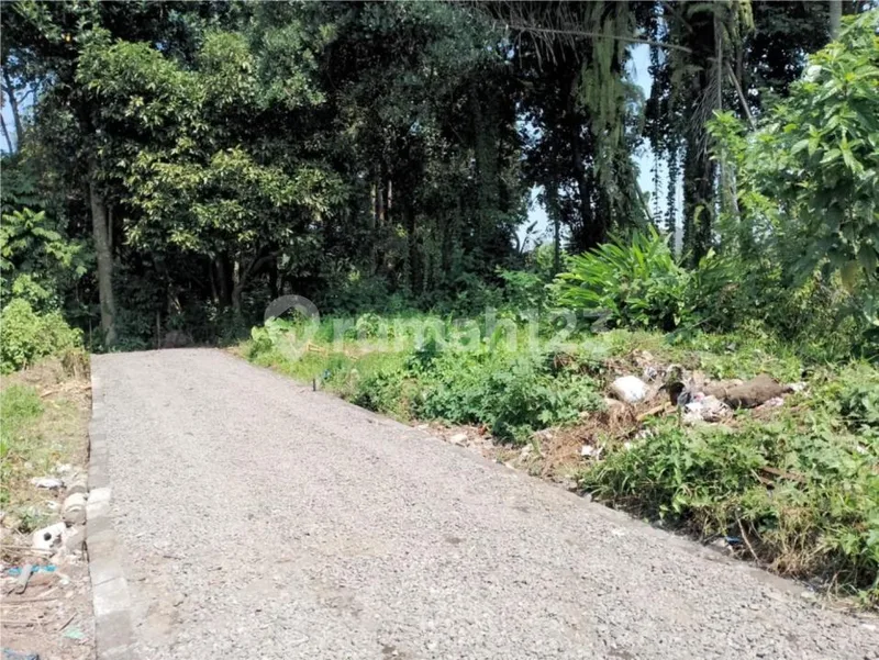 Tanah Plot Kecil Singakerta Ubud - Real Estate in Bali