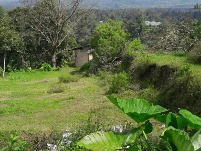 TANAH COCOK UNTUK KEBUN VILLA LOKASI BAGUS DI BEDUGUL TABANAN - Real Estate in Bali