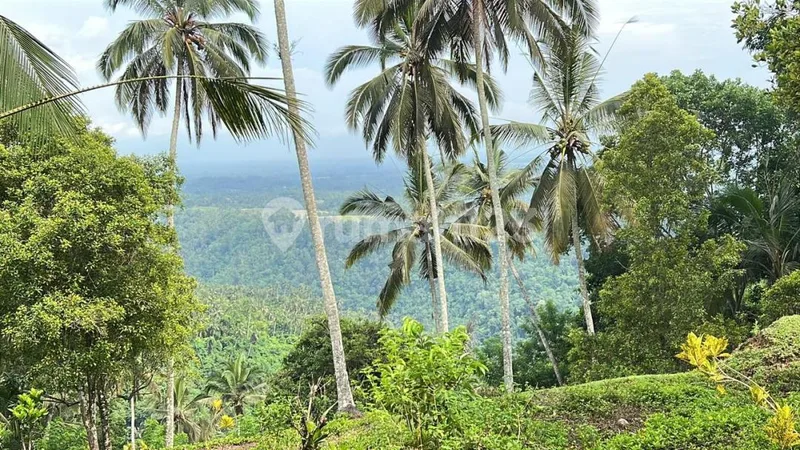 Dijual Tanah View Bali yang Indah Menyejukan Mata di Tabanan Bali - Bali in Bali