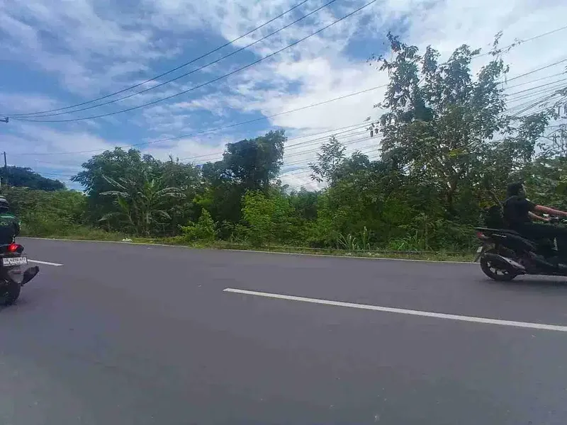 dijual tanah 20 are IDR 950 juta per are dikampus unud jimbaran badung bali - Bali in Bali