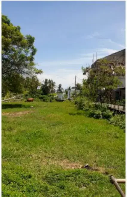 Tanah Murah Dkt Pantai Pererenan - Real Estate in Bali