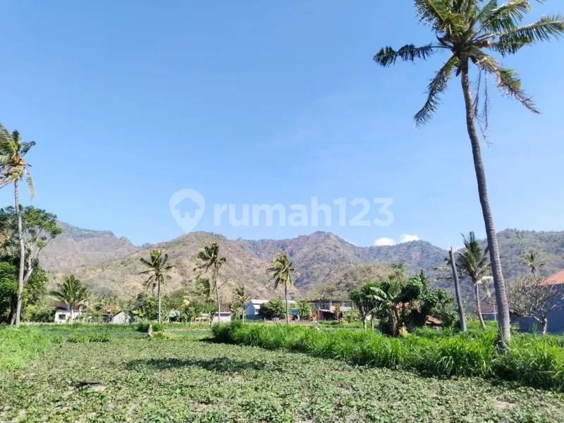 Tanah Jalan Utama Bias Lantang Karangasem #Tj8438ry - Real Estate in Bali