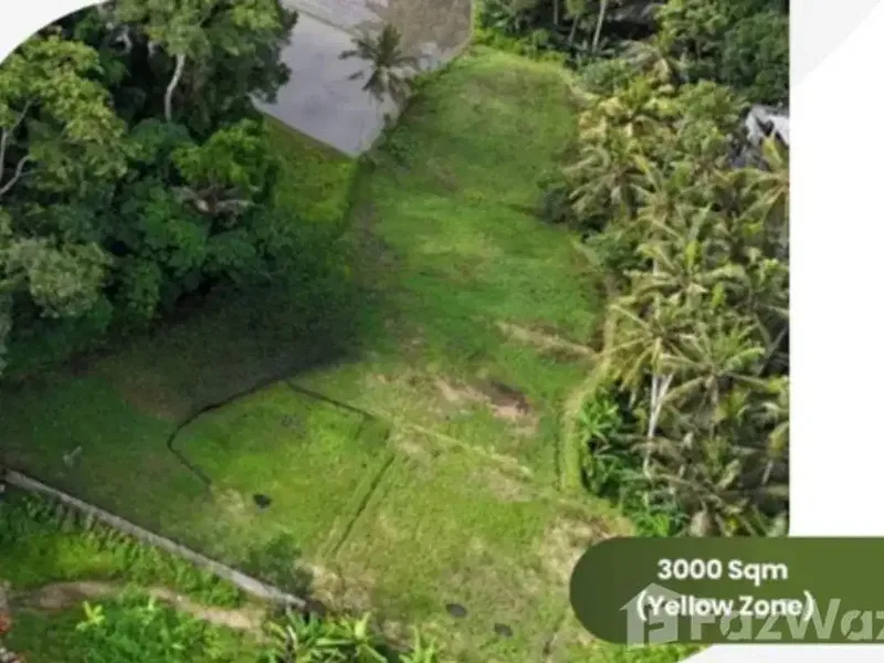 Land for sale in Ubud, Bali - Bali in Bali