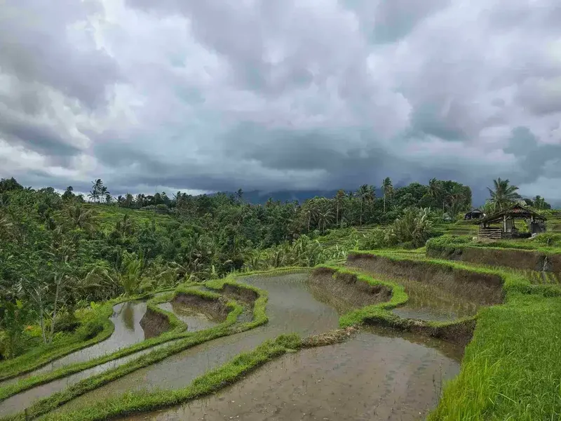 dijual tanah kebun dan sawah view cantik di penebel tabanan bali - Real Estate in Bali