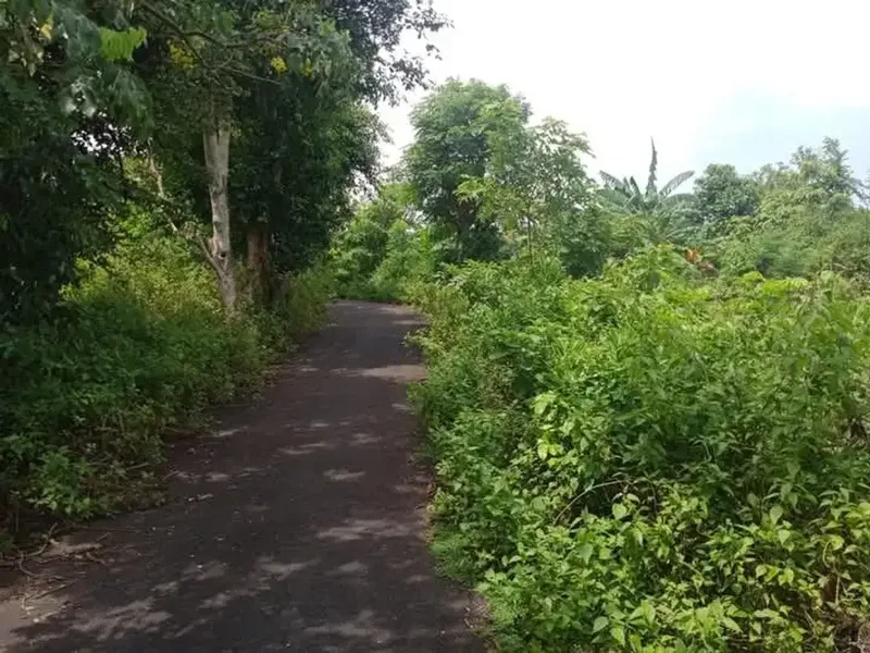 tanah bagus dekat ke pantai berjarak 800 meter ke pantai - Bali in Bali