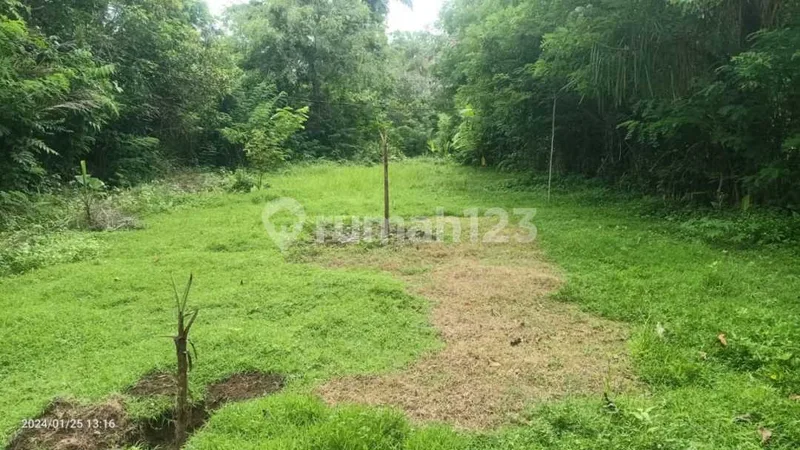 For Sale 6 Are Land Close To Tirtagangga - Real Estate in Bali