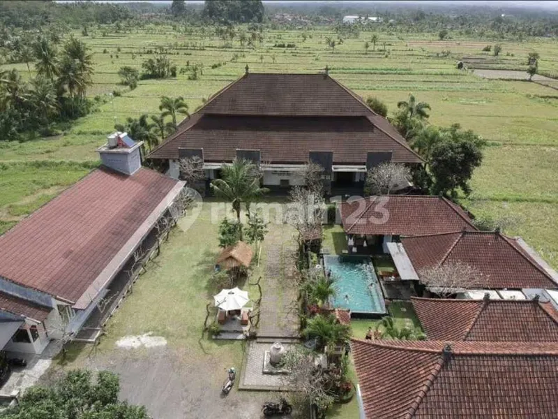 Komplek Villa Buruan Gianyar Bali - Real Estate in Bali