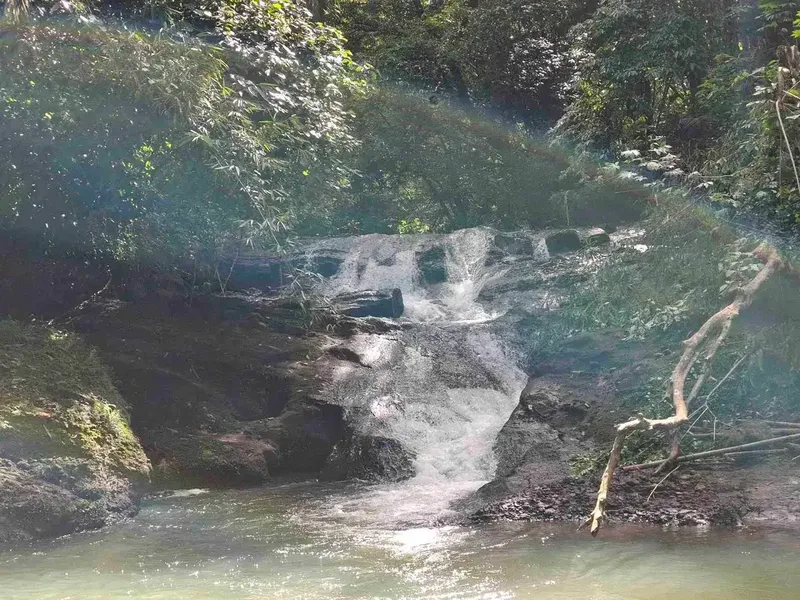 tanah strategis berisi air terjun yang sangat unik di tabanan harga murah - Real Estate in Bali