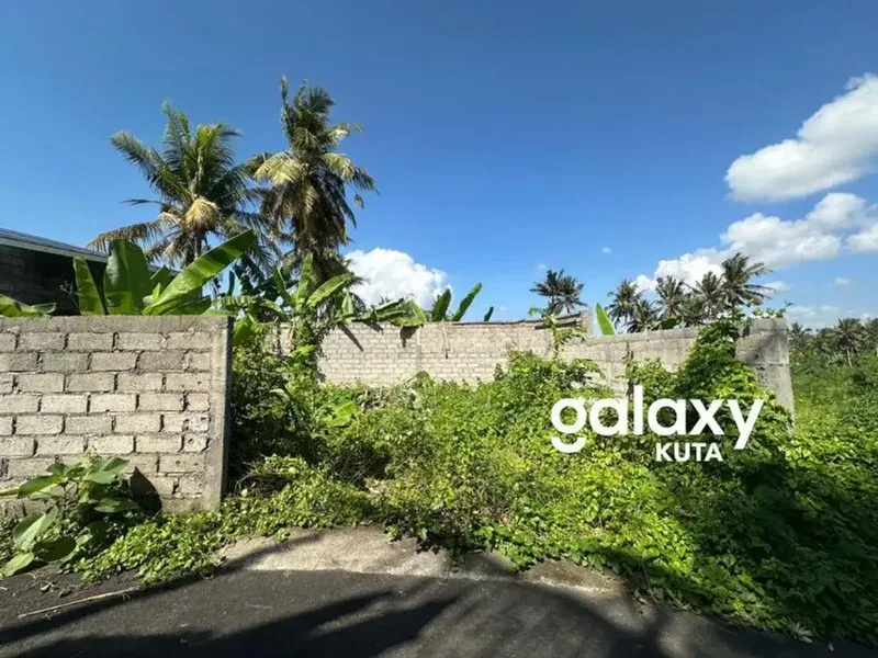 DIJUAL TANAH CEPAT DI BURUAN GIANYAR - Real Estate in Bali